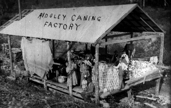 Ridgley Canning